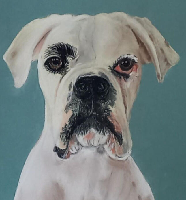 Ginnys Pet Portraits