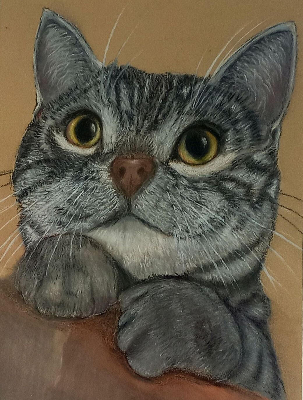 Ginnys Pet Portraits