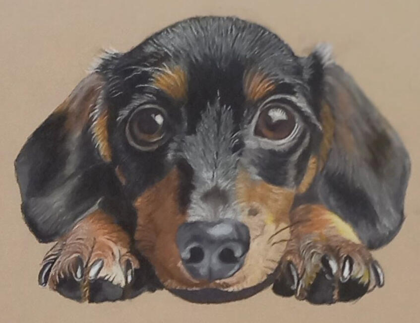 Ginnys Pet Portraits