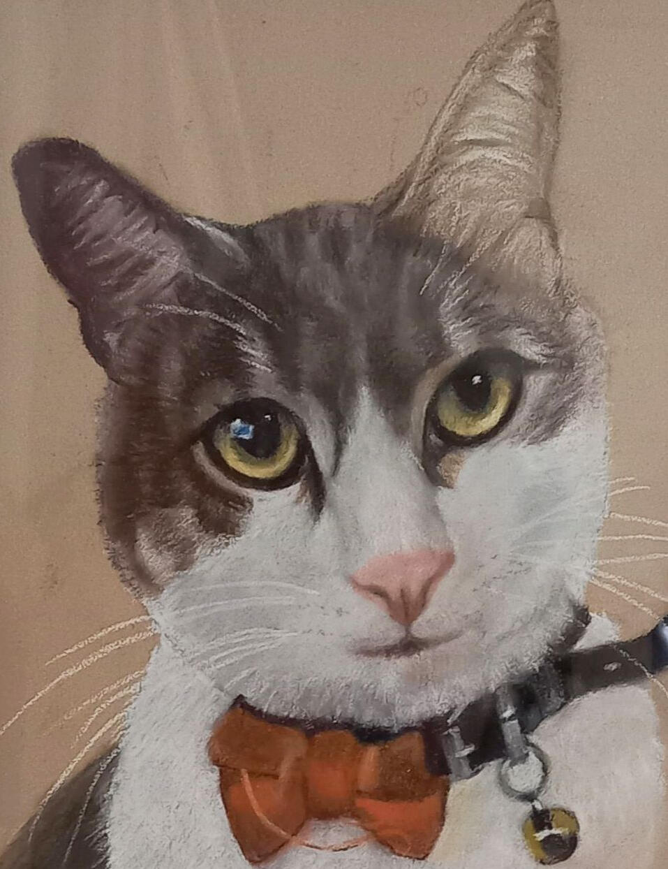 Ginnys Pet Portraits