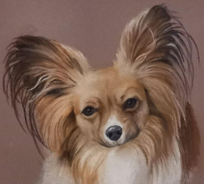 Ginnys Pet Portraits
