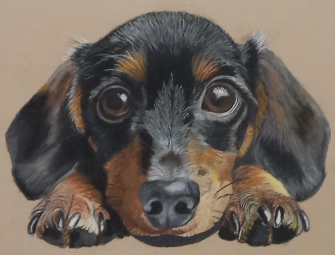 Ginnys Pet Portraits