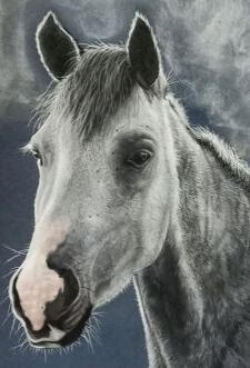 Ginnys Pet Portraits