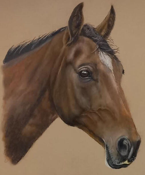 Ginnys Pet Portraits