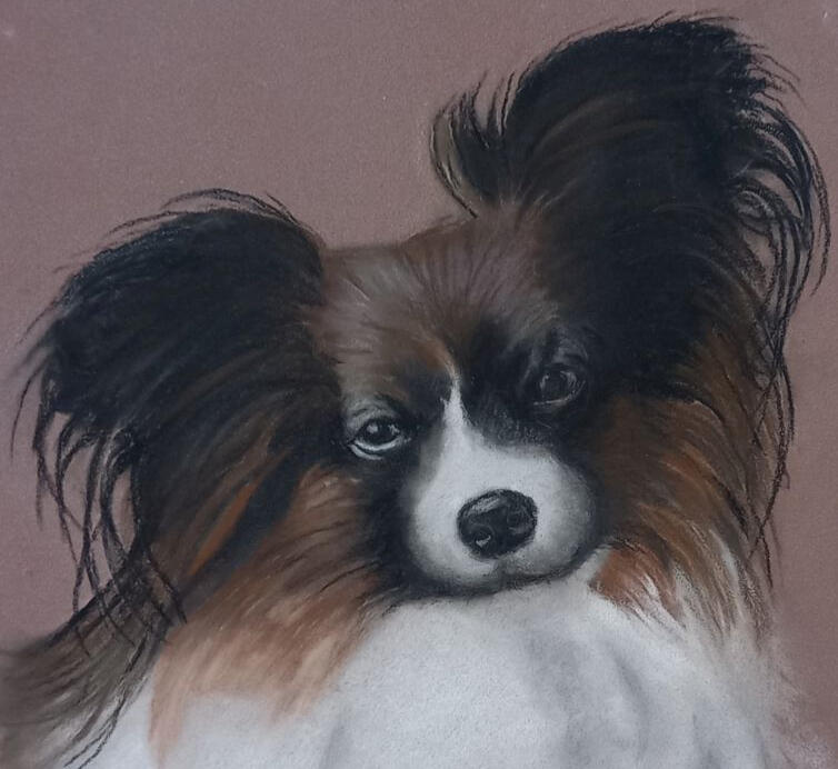 Ginnys Pet Portraits