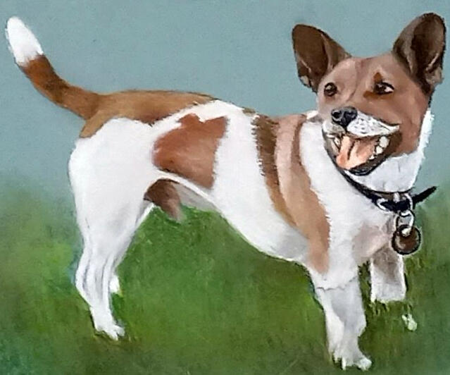 Ginnys Pet Portraits