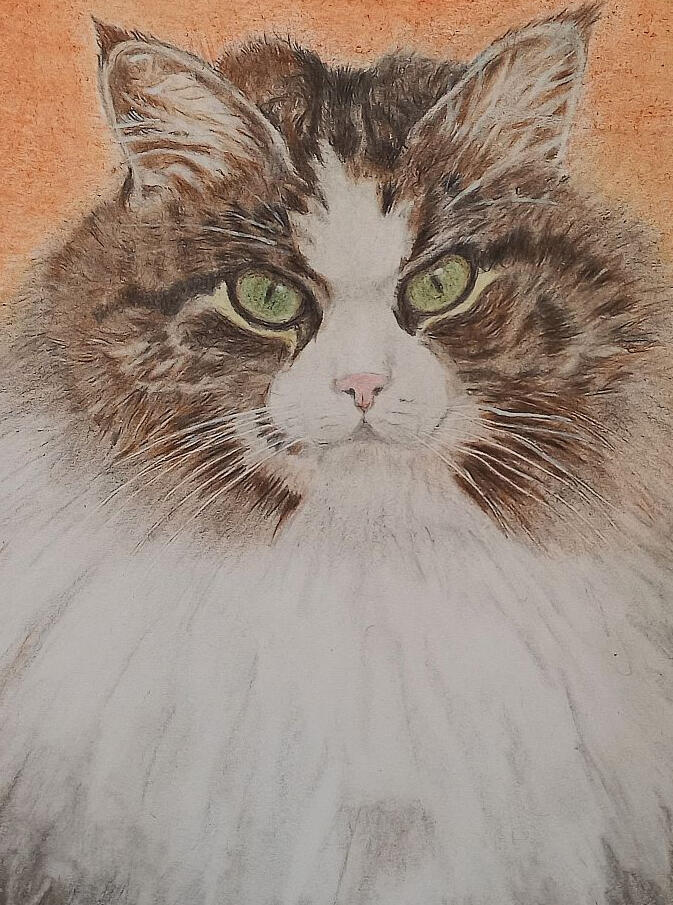 Ginnys Pet Portraits