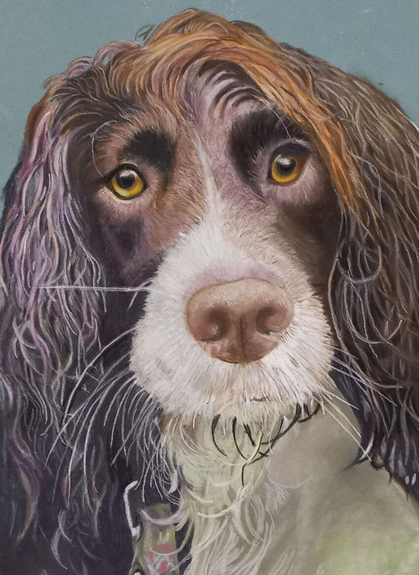 Ginnys Pet Portraits