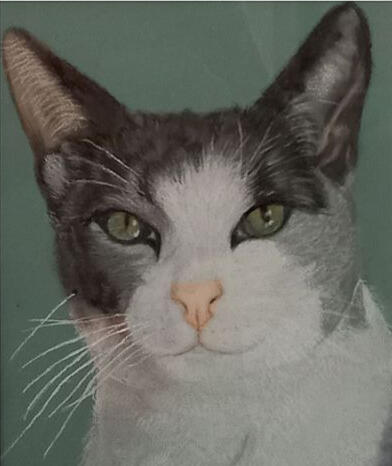 Ginnys Pet Portraits