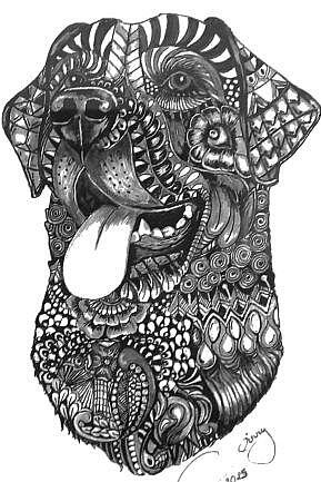 Ginnys Pet Portraits