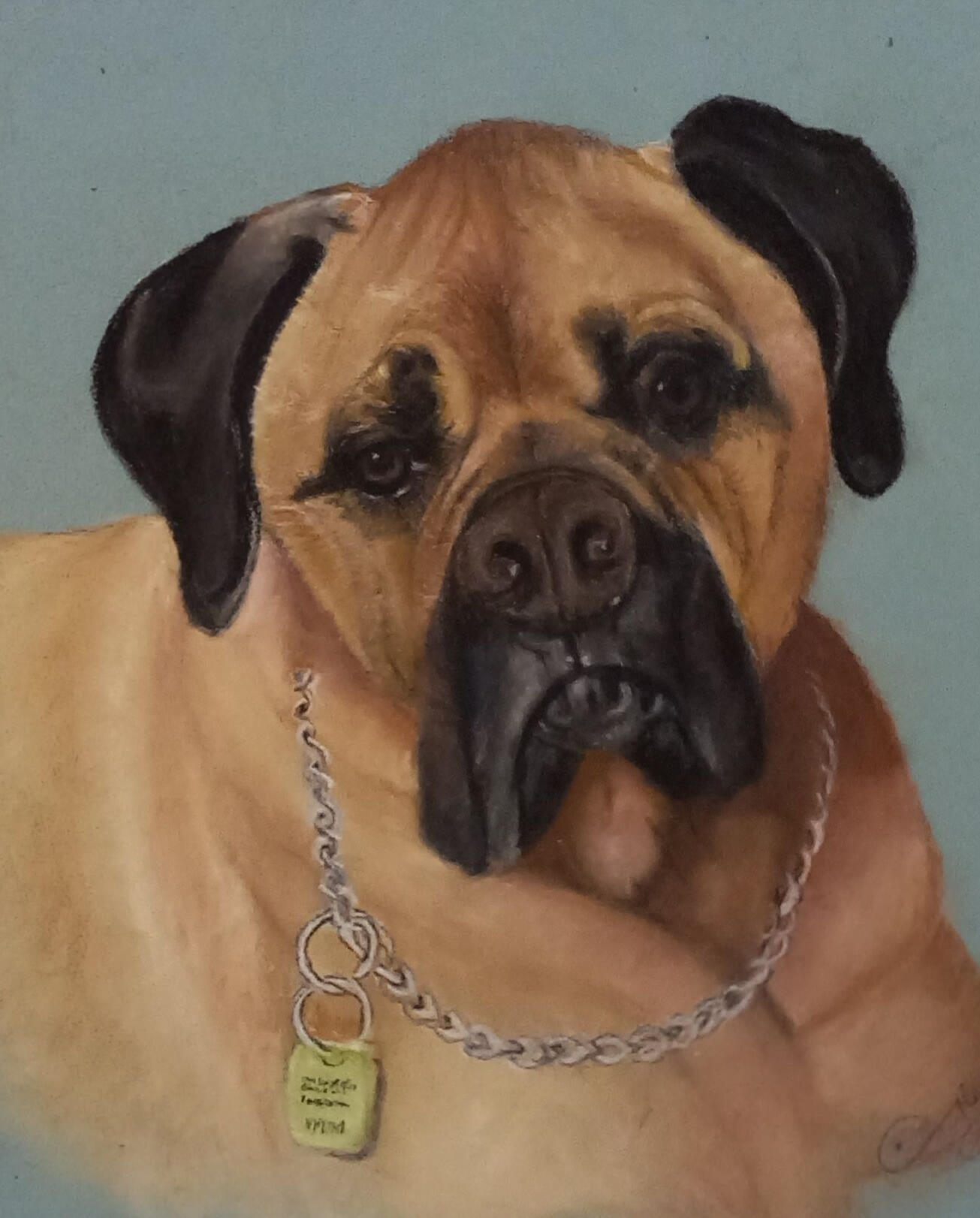 Ginnys Pet Portraits
