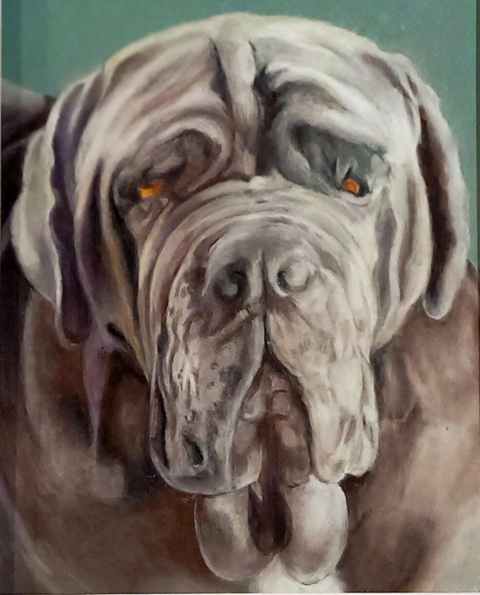 Ginnys Pet Portraits