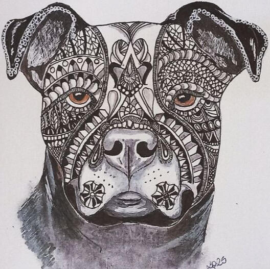 Ginnys Pet Portraits
