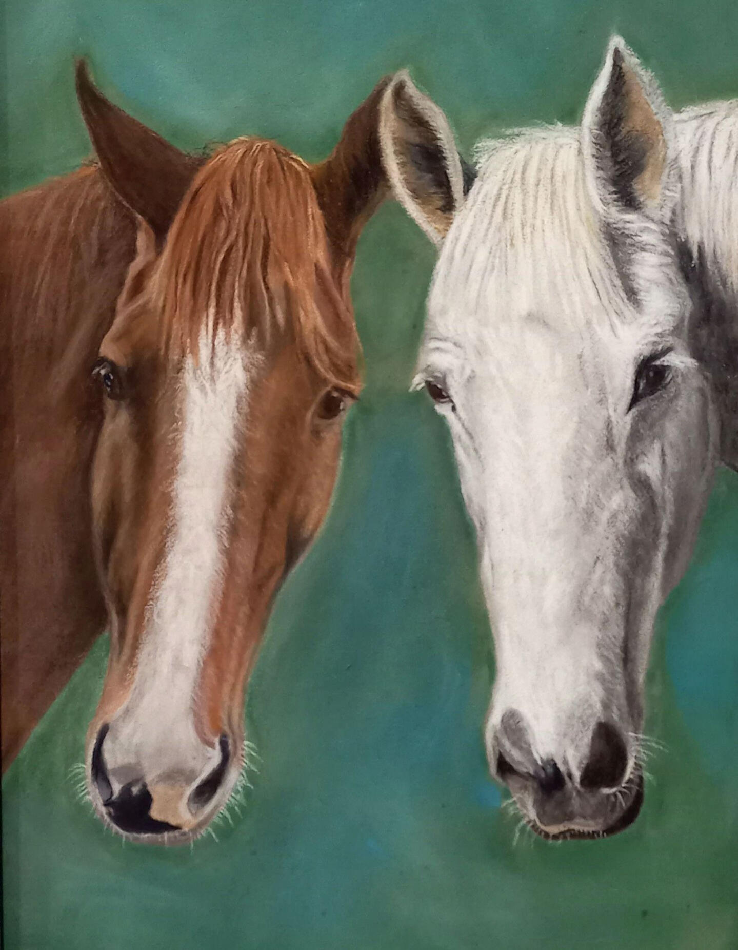 Ginnys Pet Portraits