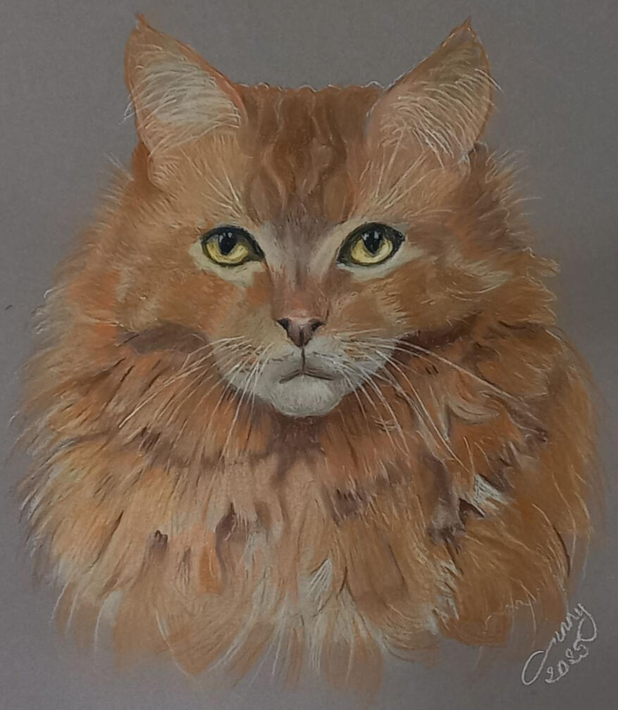 Ginnys Pet Portraits