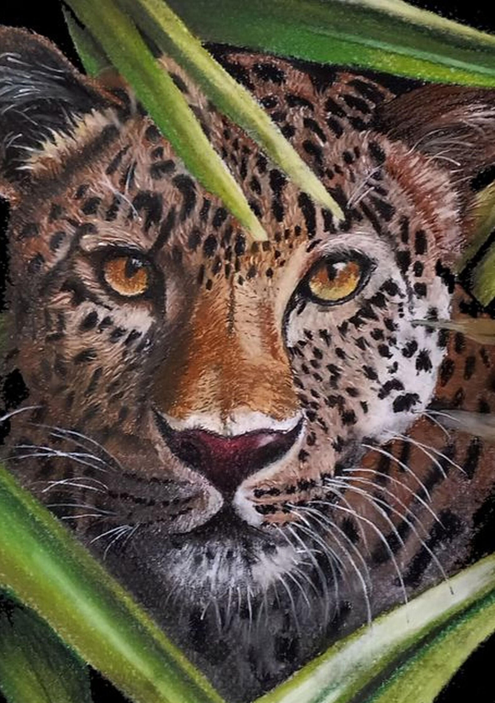Ginnys Pet Portraits
