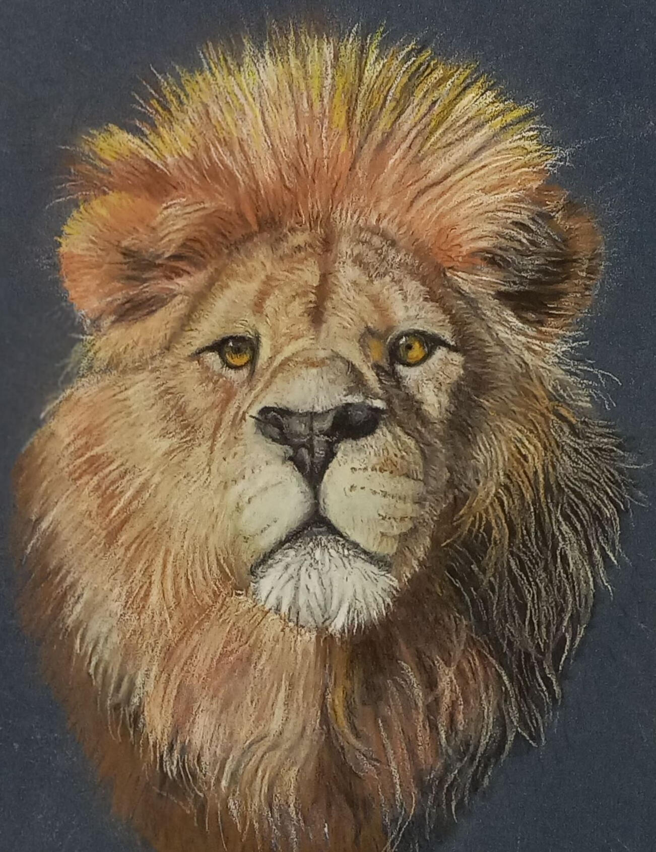 Ginnys Pet Portraits