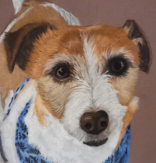 Ginnys Pet Portraits