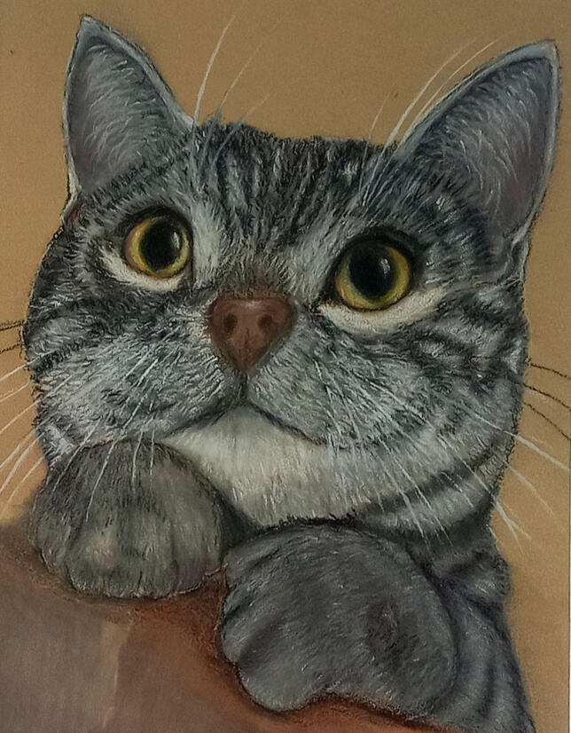 Ginnys Pet Portraits