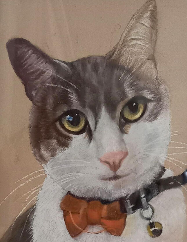 Ginnys Pet Portraits