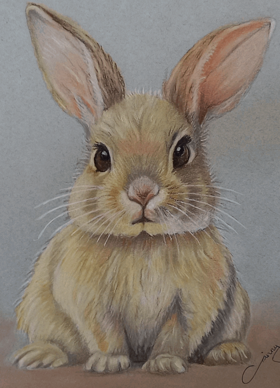 Ginnys Pet Portraits