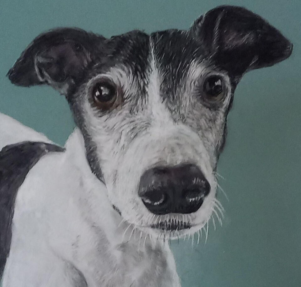 Ginnys Pet Portraits