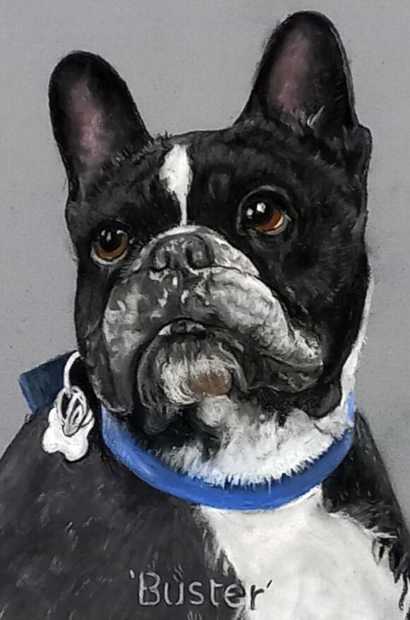 Ginnys Pet Portraits