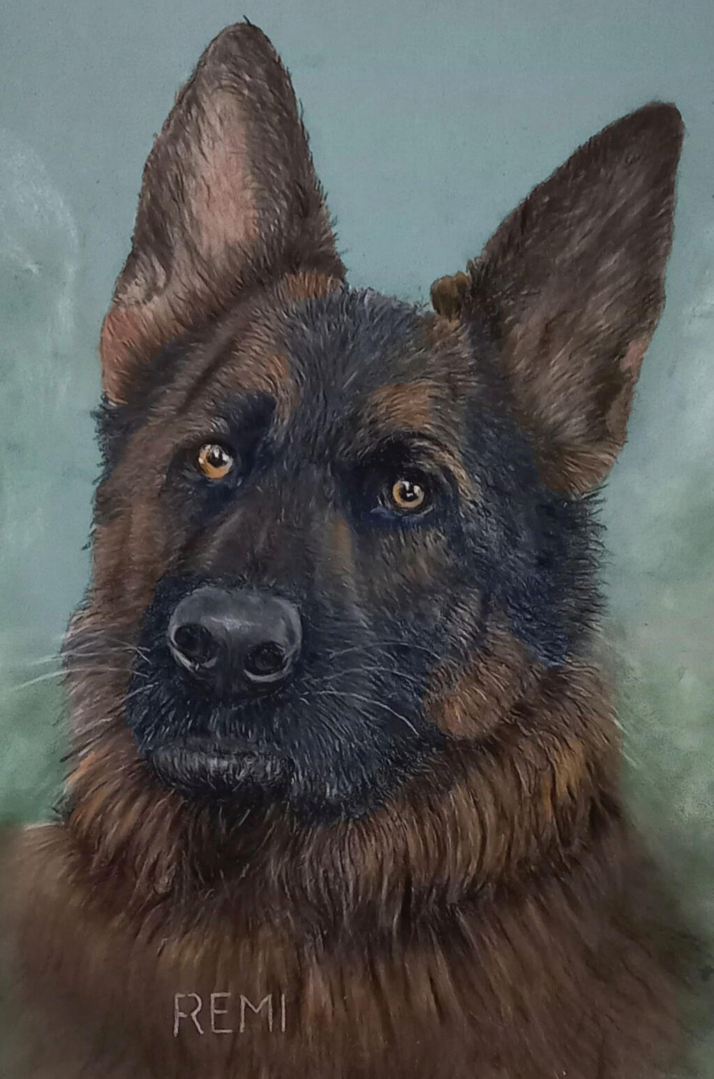 Ginnys Pet Portraits