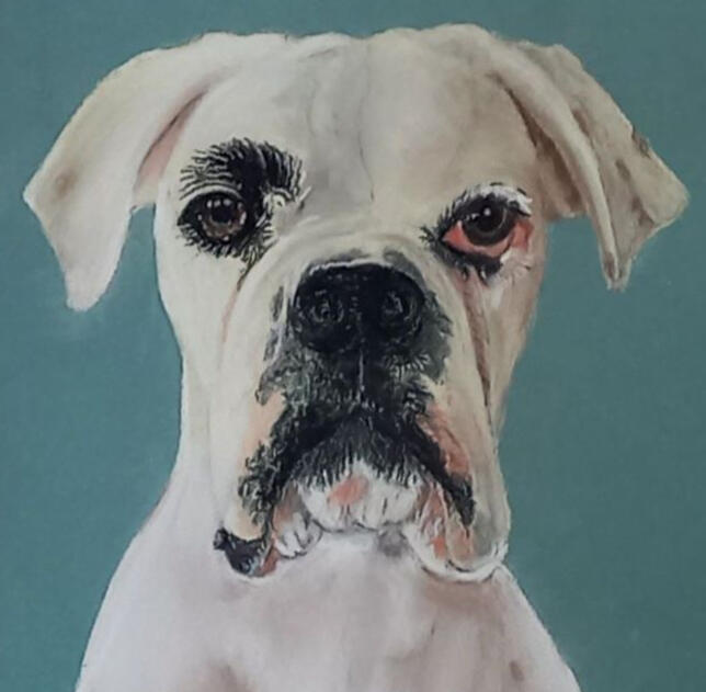 Ginnys Pet Portraits