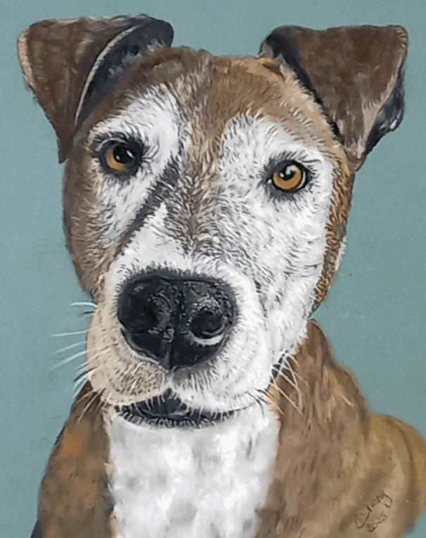 Ginnys Pet Portraits