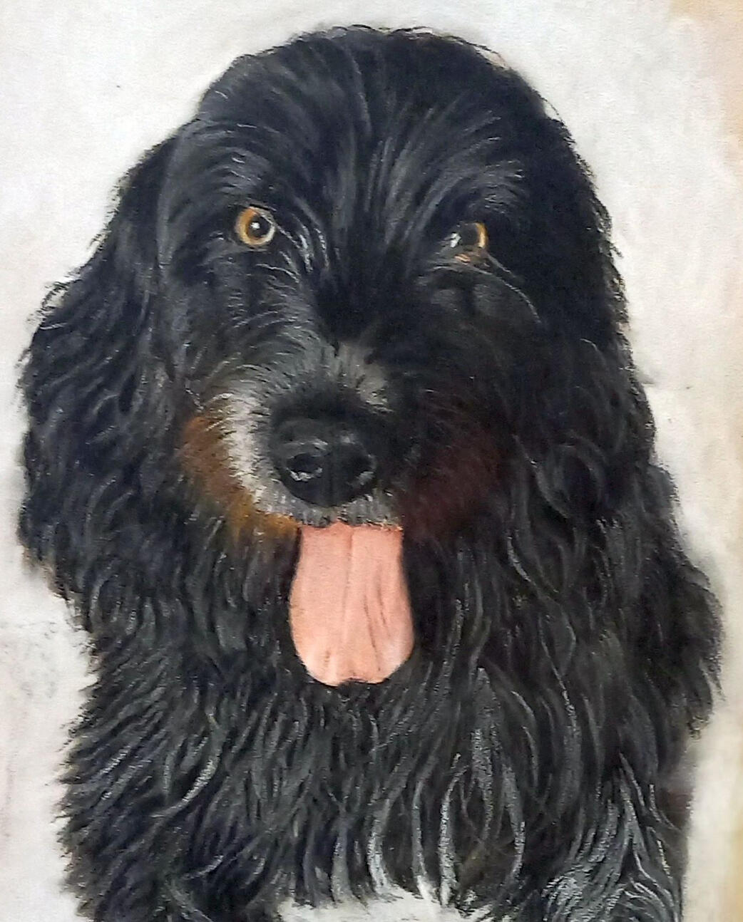 Pet Portraits