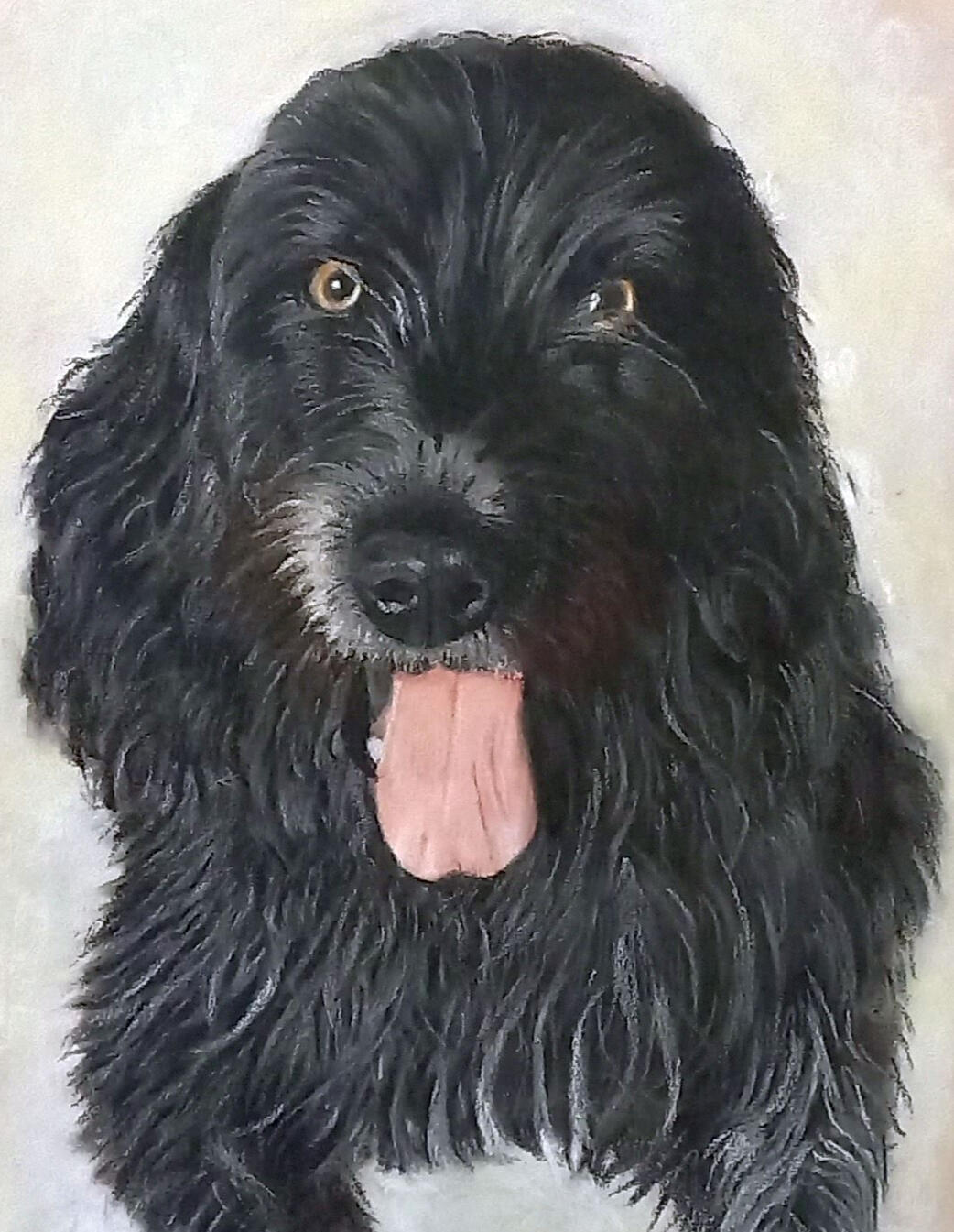 Ginnys Pet Portraits